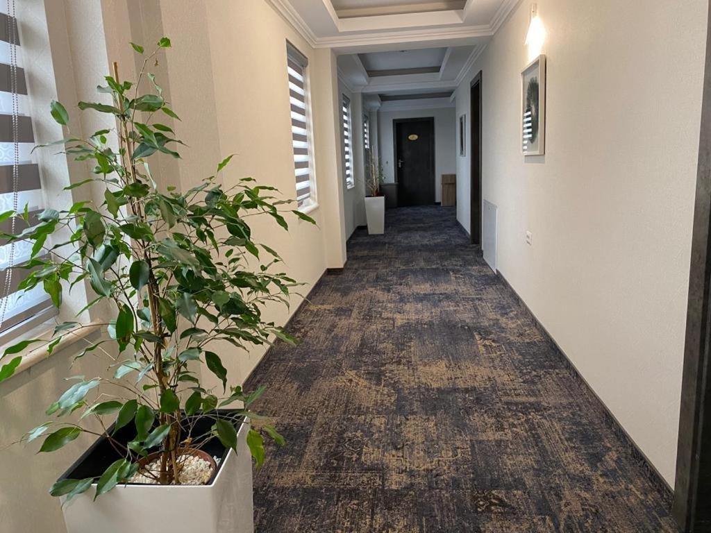 Hotel Yarus Plus Ploieşti Buitenkant foto