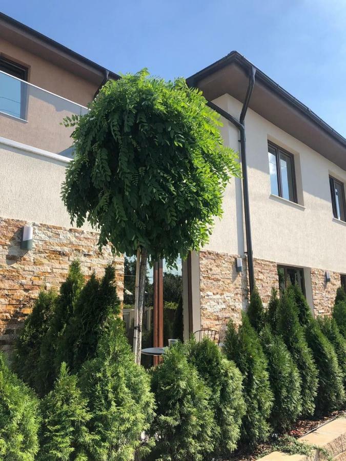 Hotel Yarus Plus Ploieşti Buitenkant foto